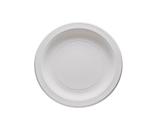 9 inch Plate (Pack of 50s)
