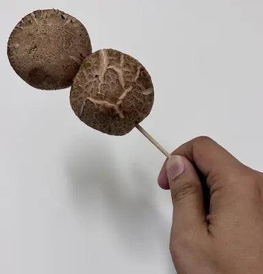 Fresh Shitake Mushroom