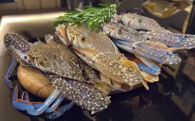 FRESH/Live Flower Crab