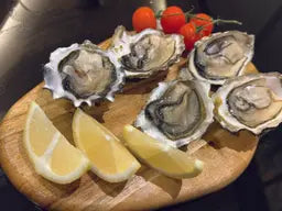 Live Oyster